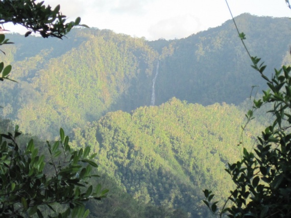 Водопад Сальто-Фино высотой 305 м. (самый высокий водопад Карибов)